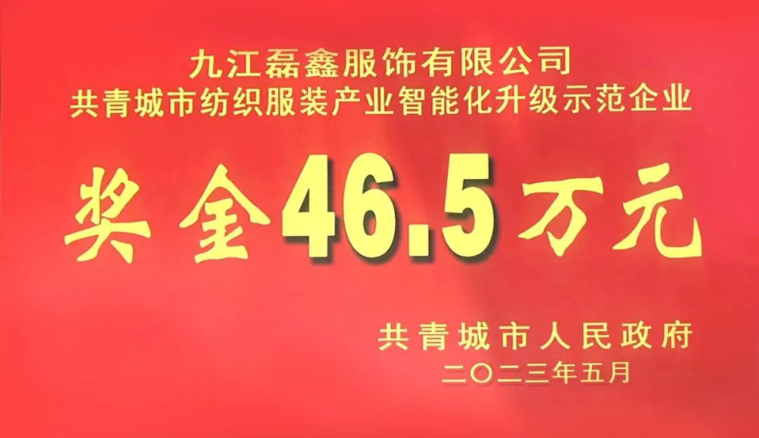 客戶新聞 | 磊鑫服飾榮獲紡織服裝產(chǎn)業(yè)智能化升級示范企業(yè)！